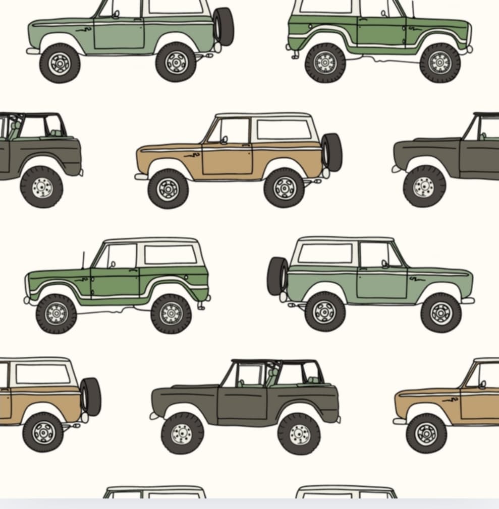 VINTAGE VROOM 2PC SHORTS