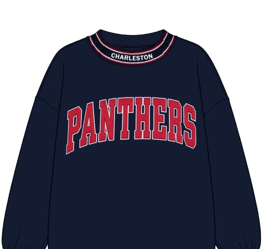 PANTHERS MOCKNECK SWEATSHIRT
