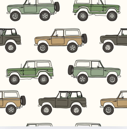 VINTAGE VROOM 2PC SHORTS